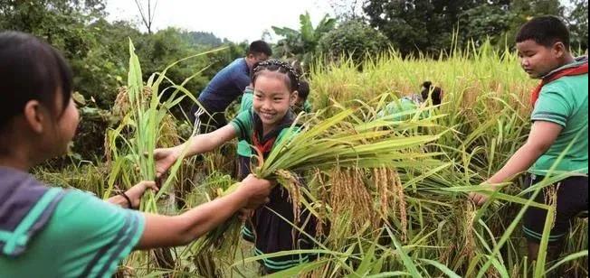 干货！劳动教育如何实现综合育人？这里总结了几个关键点