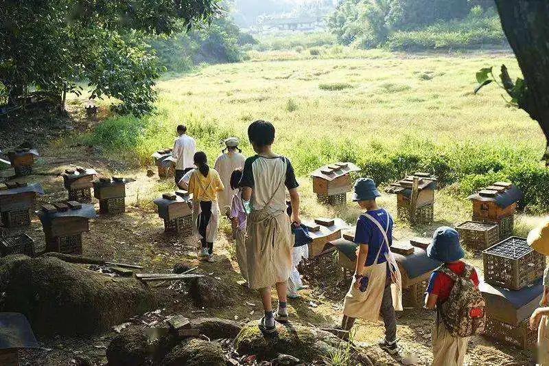 “双减”实施后，研学旅行如何助力学生素质提升？