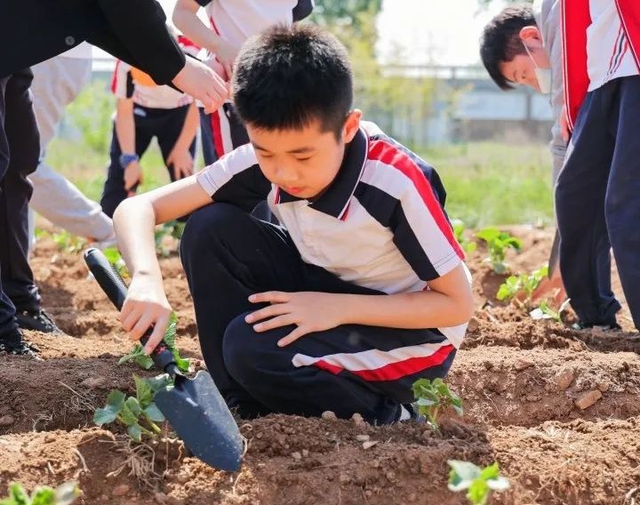 研学指导师的未来将去向何方？看了这篇深度访谈你就知道了！