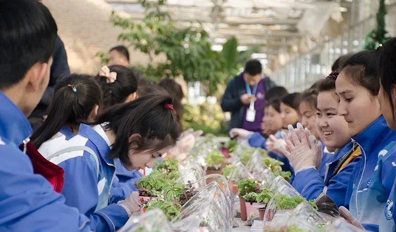订单总量环比提升50%，人均花费同比提升24%！研学游强劲复苏！