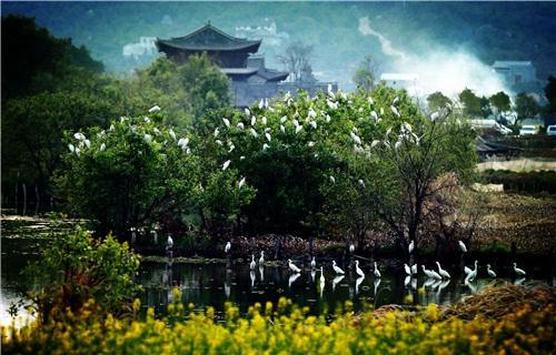 “双减”后，生态文明教育+研学成为家长的又一“心头好”