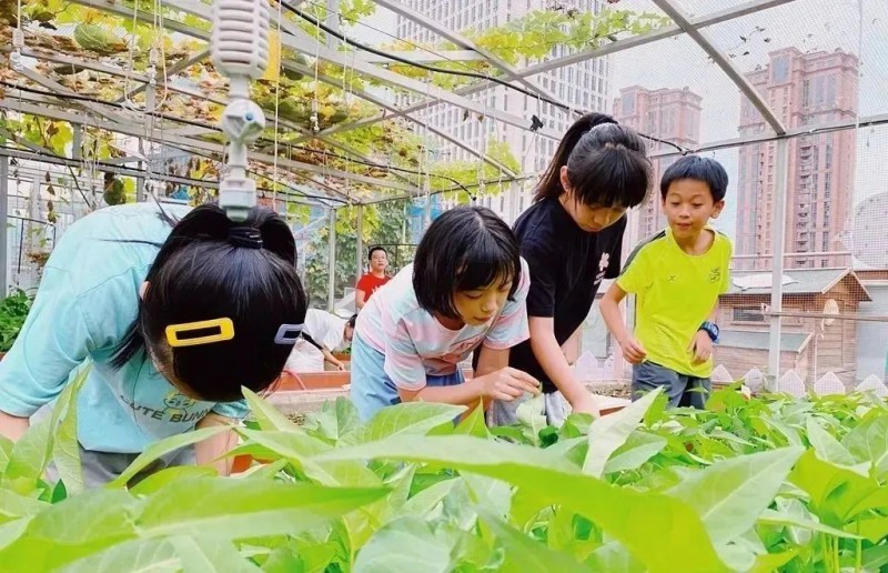 课堂该如何提质增效？体育、劳动、智育、艺术……来看看各地各校的答案