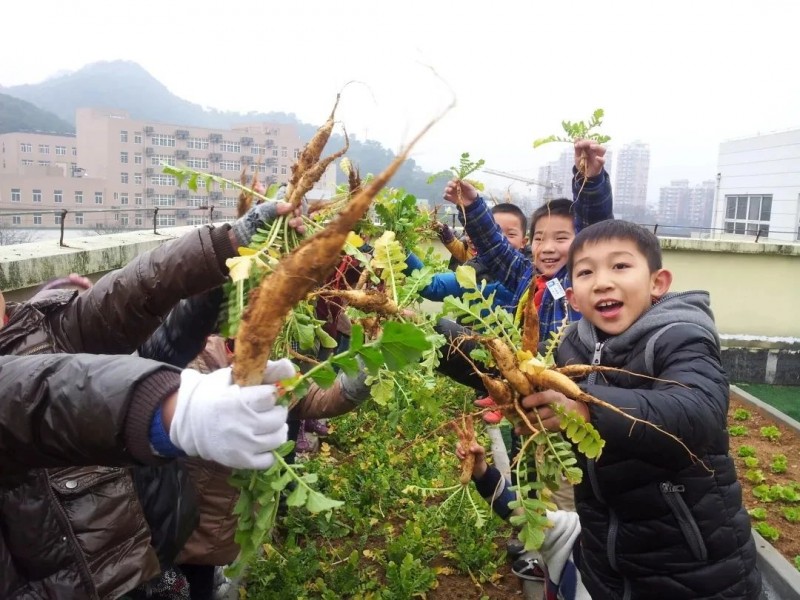 当很多学校的劳动教育还“锁”在“纸上”时，这所学校已经找到解锁的密码！