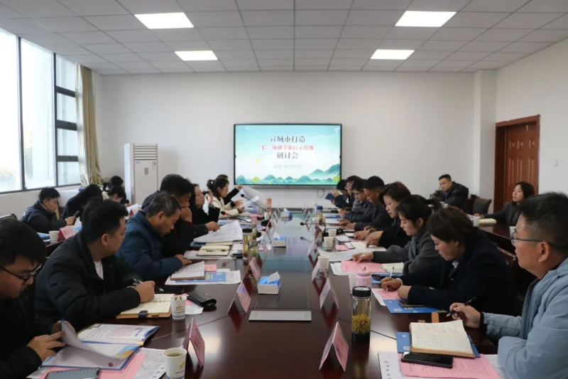 江西国之学旅运营管理集团受邀参加宣城市打造“长三角研学旅行示范地”研讨会